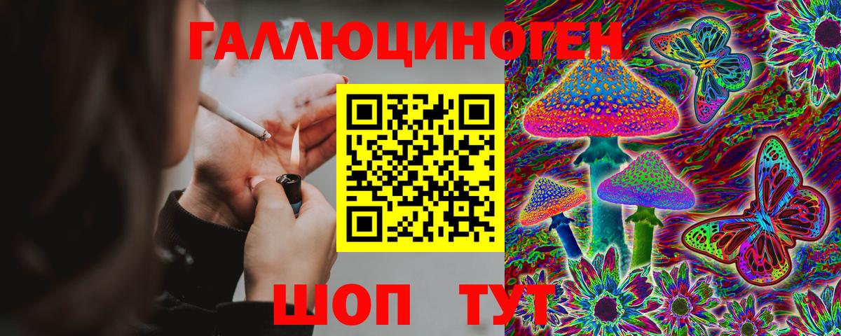 Североморск  Галлюциногенные грибы GOLDEN TEACHER  Вход с VPN 
