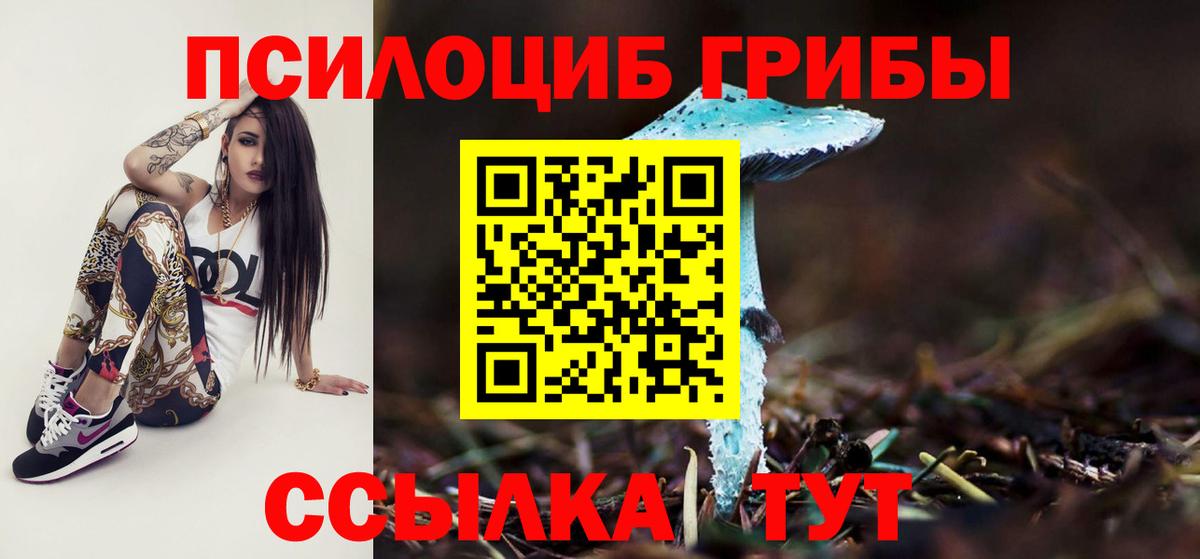 Псилоцибиновые грибы Cubensis Североморск